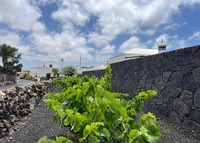 Casa Carla بيت للعطل La Vegueta