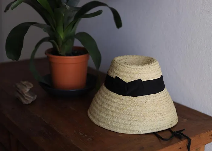 Casa Carla La Vegueta